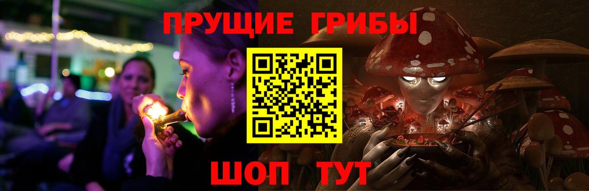хочу наркоту  Псилоцибиновые грибы Cubensis  Псилоцибиновые грибы GOLDEN TEACHER  Вход с VPN  Тара 